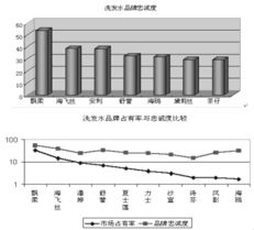 飄影洗發(fā)水營銷策劃案themarketingplanofpuyenshampoo 吳德望 第5頁 市場營銷 品牌策劃 市場營銷 管理文庫